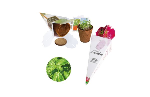 Zaubertüte - Samenset