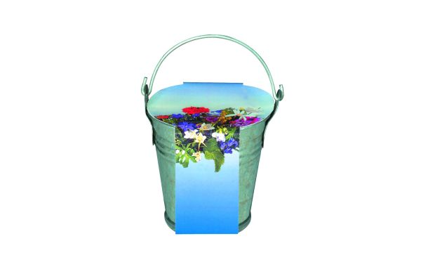 Zinkeimerchen Bunte Blumenmischung, bunte Blumenmischung 