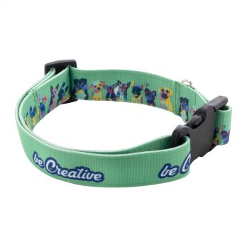 Individuelles Hundehalsband Ziggy