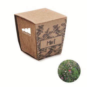 MINT KIT Pflanz-Set Minze