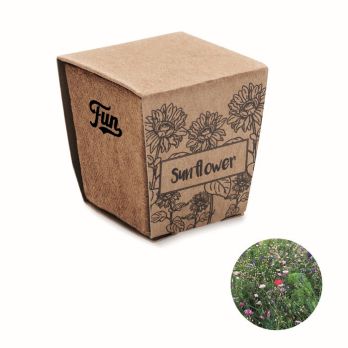SUNFLOWER KIT Pflanz-Set Sonnenblume