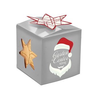 Pflanz-Holz Büro Star-Box Xmas mit Fichtensamen, 1 Seite gelasert