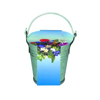 Zinkeimerchen Bunte Blumenmischung
