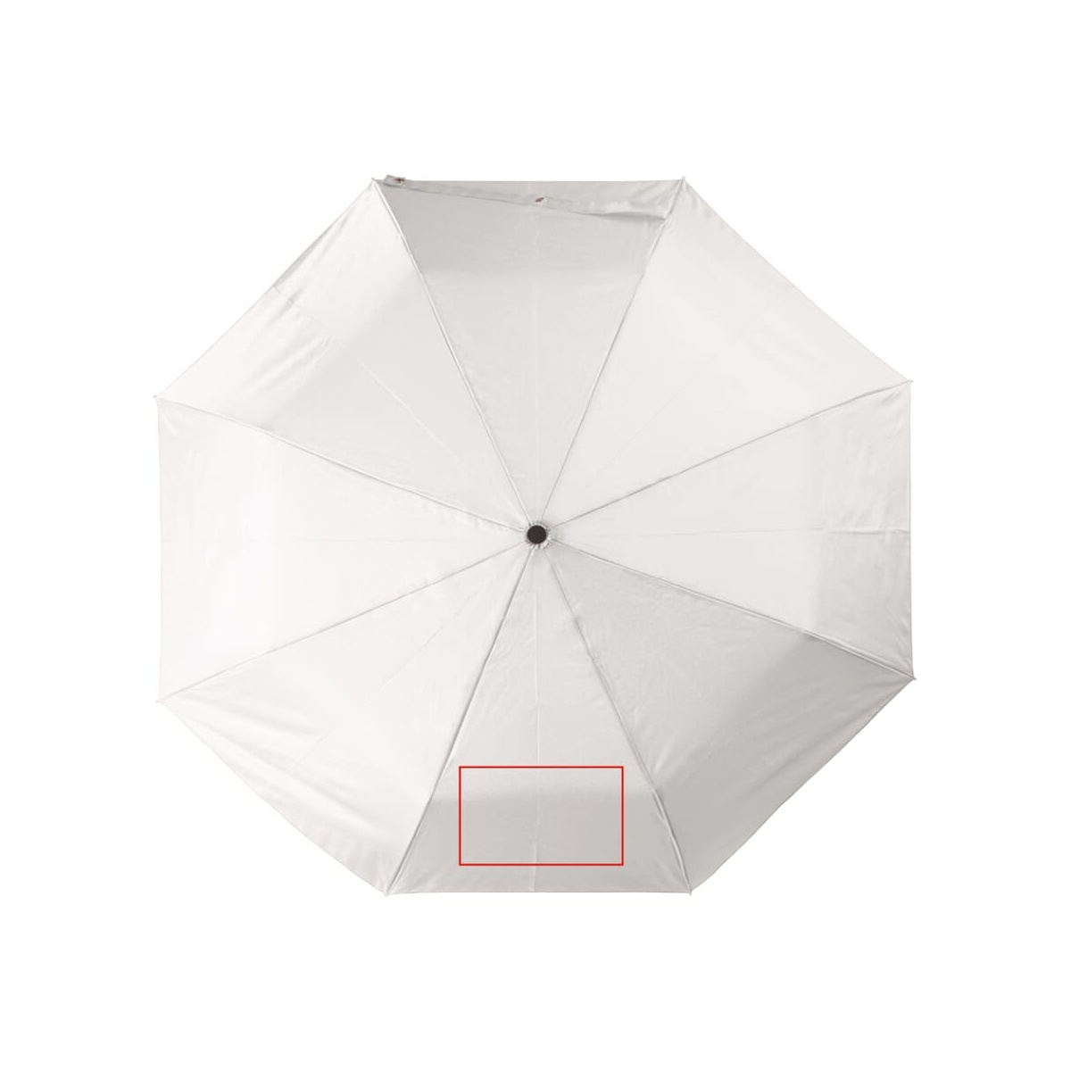 Panel 1 (120 x 200 mm)