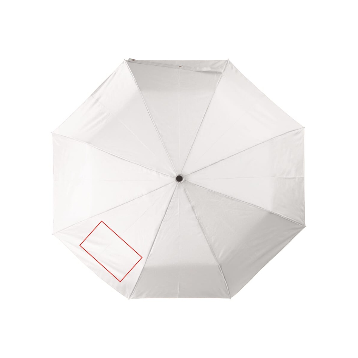 Panel 2 (120 x 200 mm)