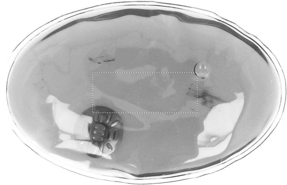 Vorderseite (1,5 x 4 cm)