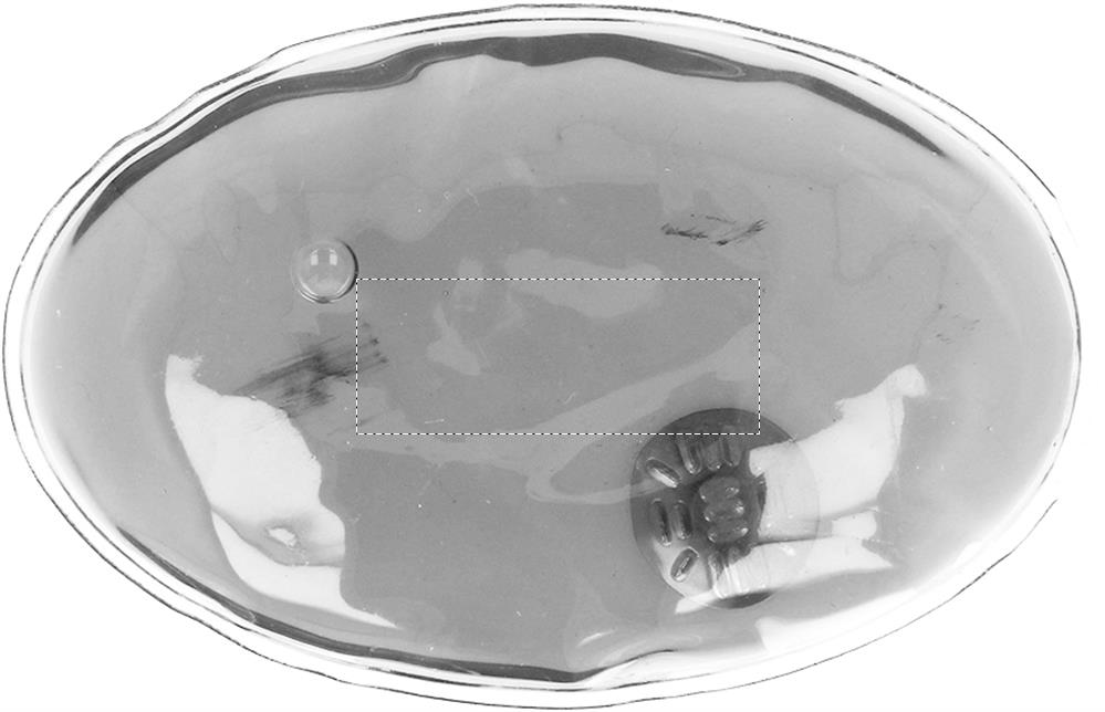 Rückseite (1,5 x 4 cm)