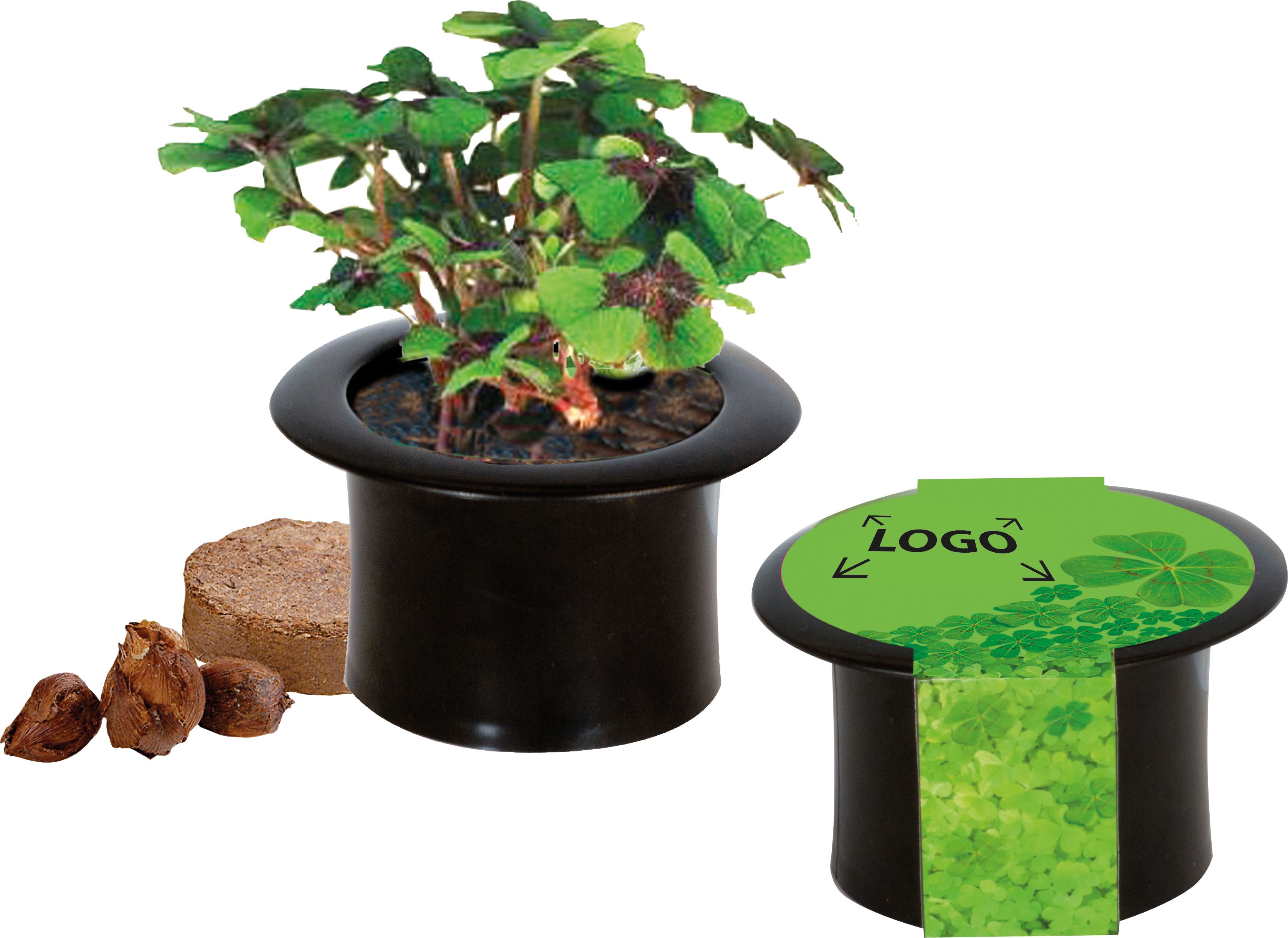 auf die Banderole (7,0 x 25,1 cm)