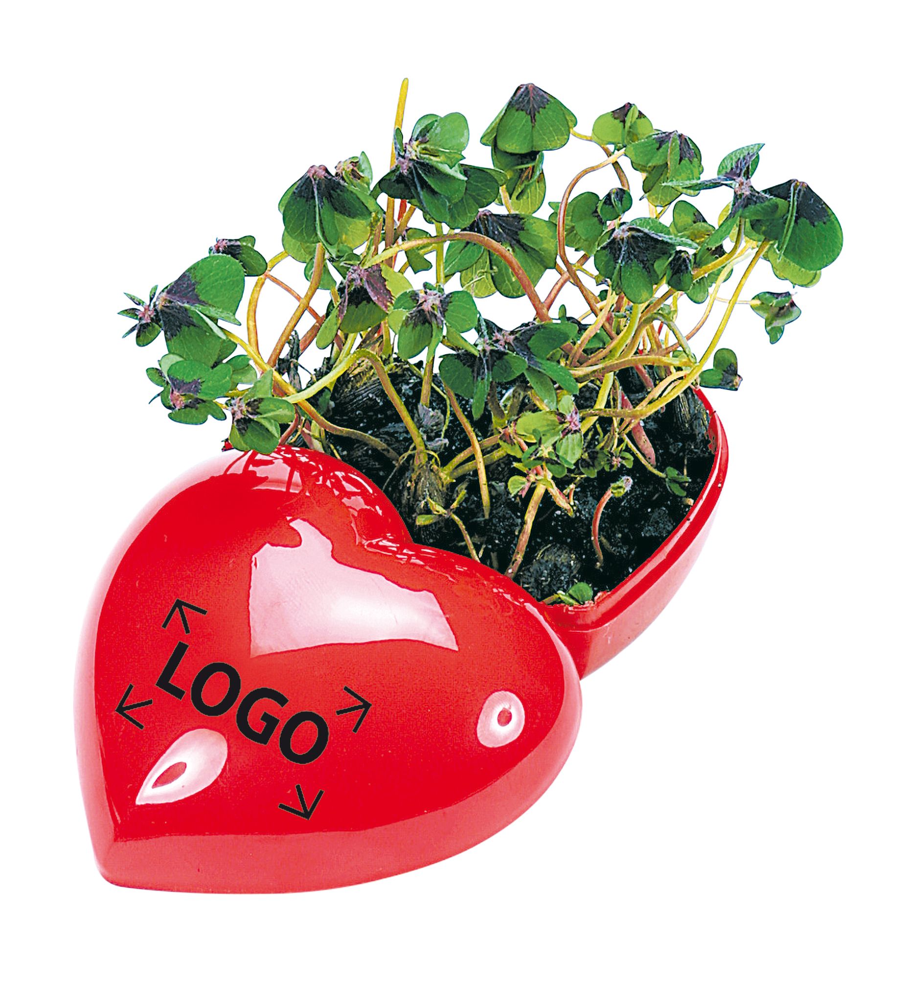 auf den Deckel (2,5 x 1,5 cm)