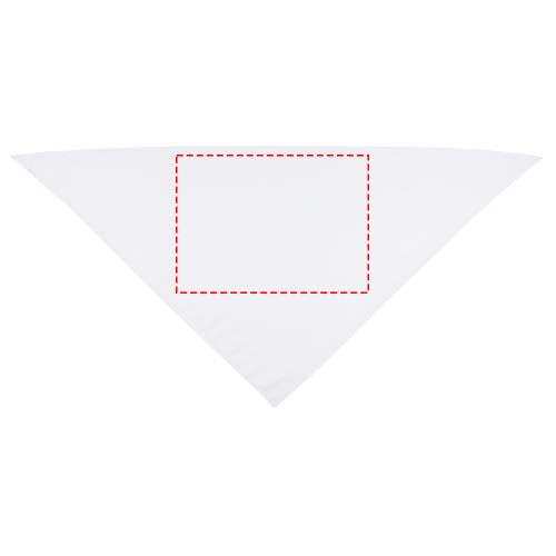 Vorderseite (30 x 21,5 cm )