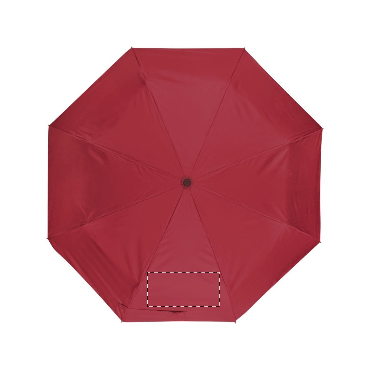 Segment 1 - mit Verschlussband (Segmentnumerierung im Uhrzeigersinn) (22 x 11 cm)