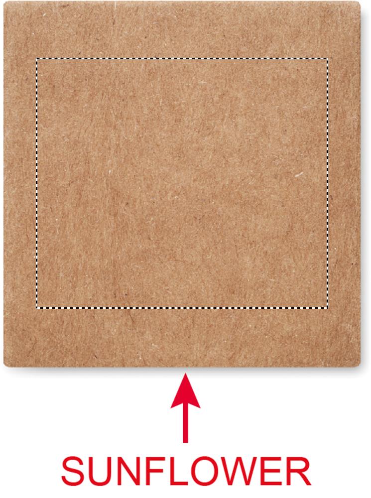 Oberseite (3 x 3,5 cm)