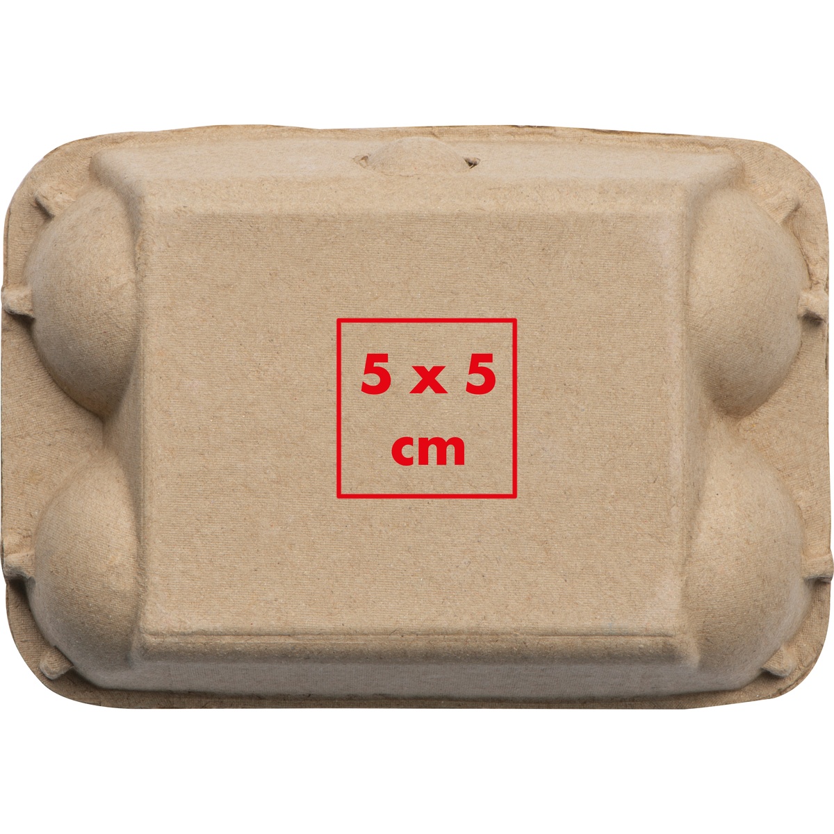 Auf der Box (5 x 5 cm)