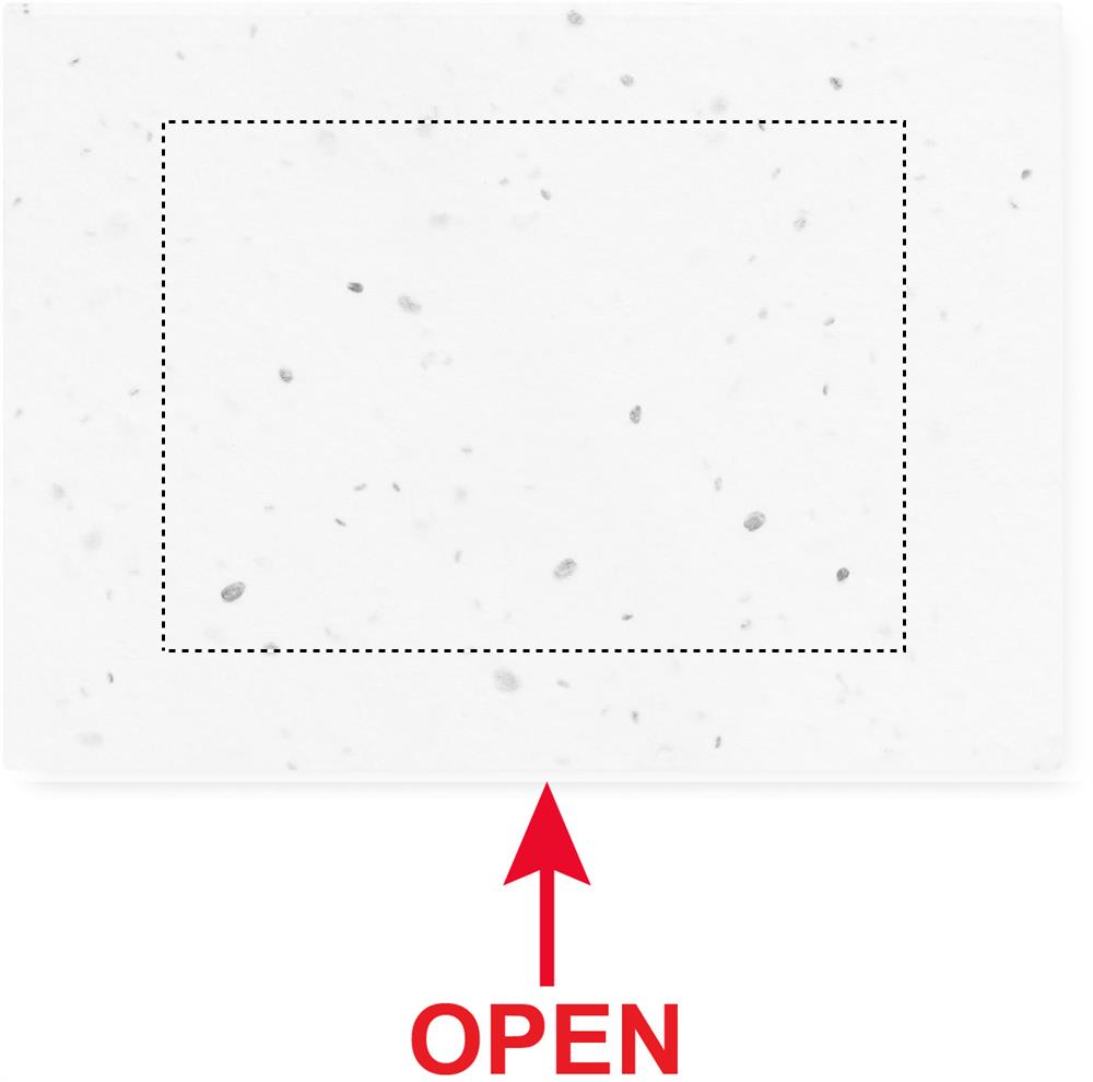 Oberseite (5 x 7 cm)