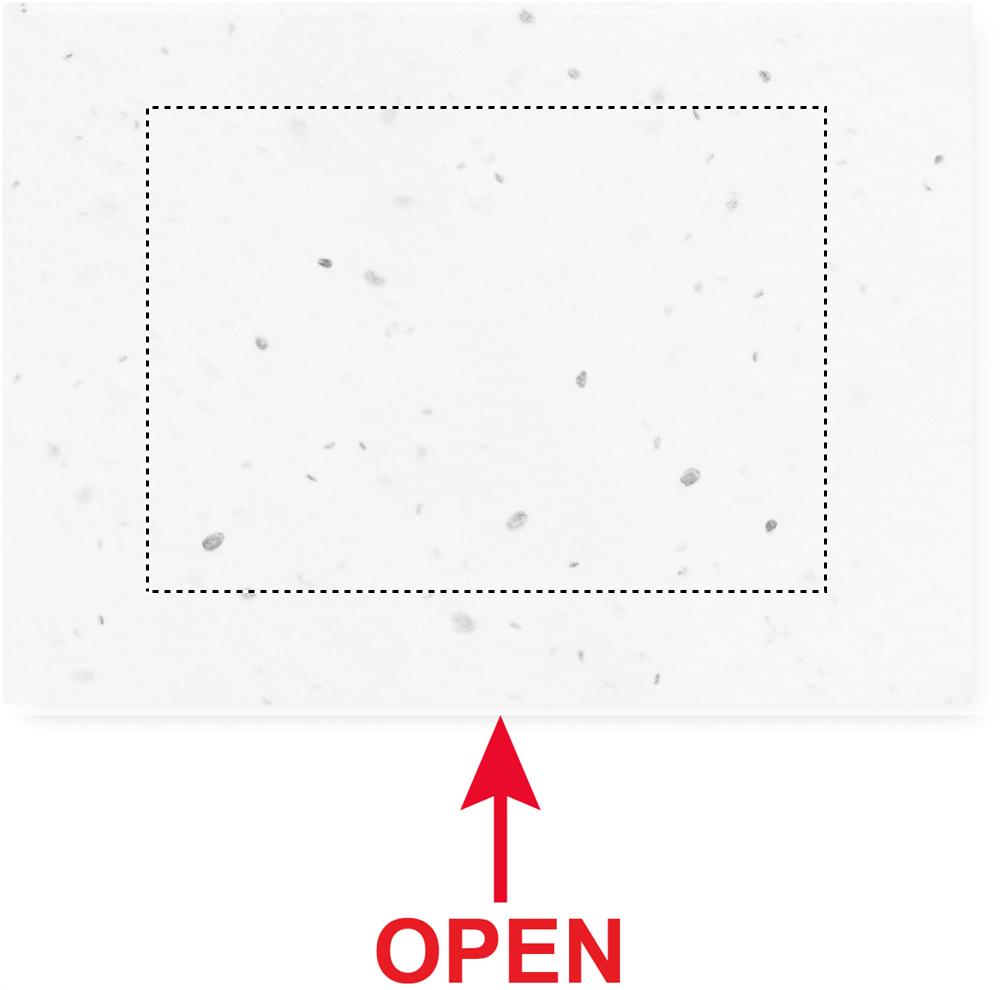 Oberseite (5 x 7 cm)