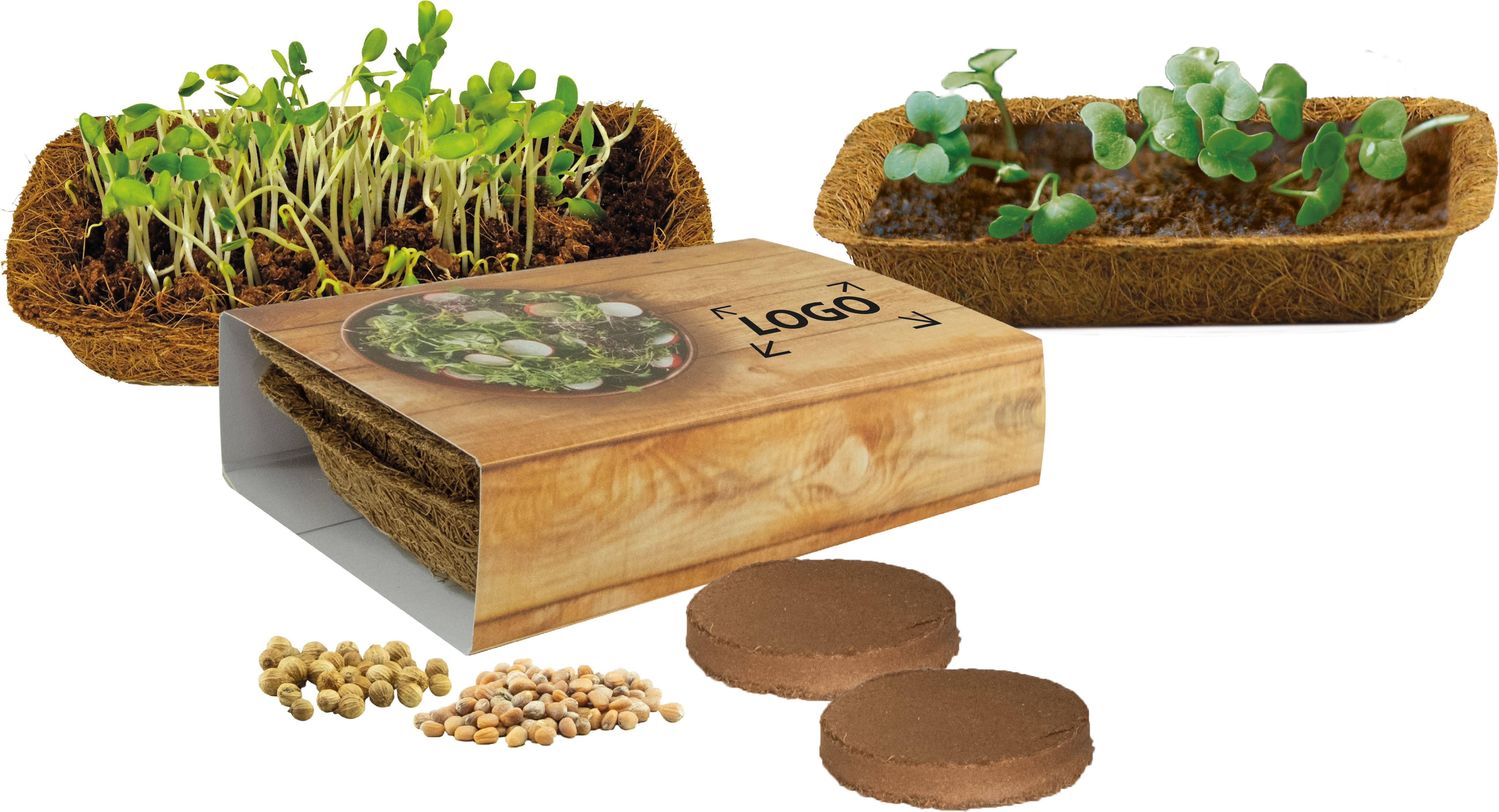 auf die Banderole (24,4 x 12,3 cm)