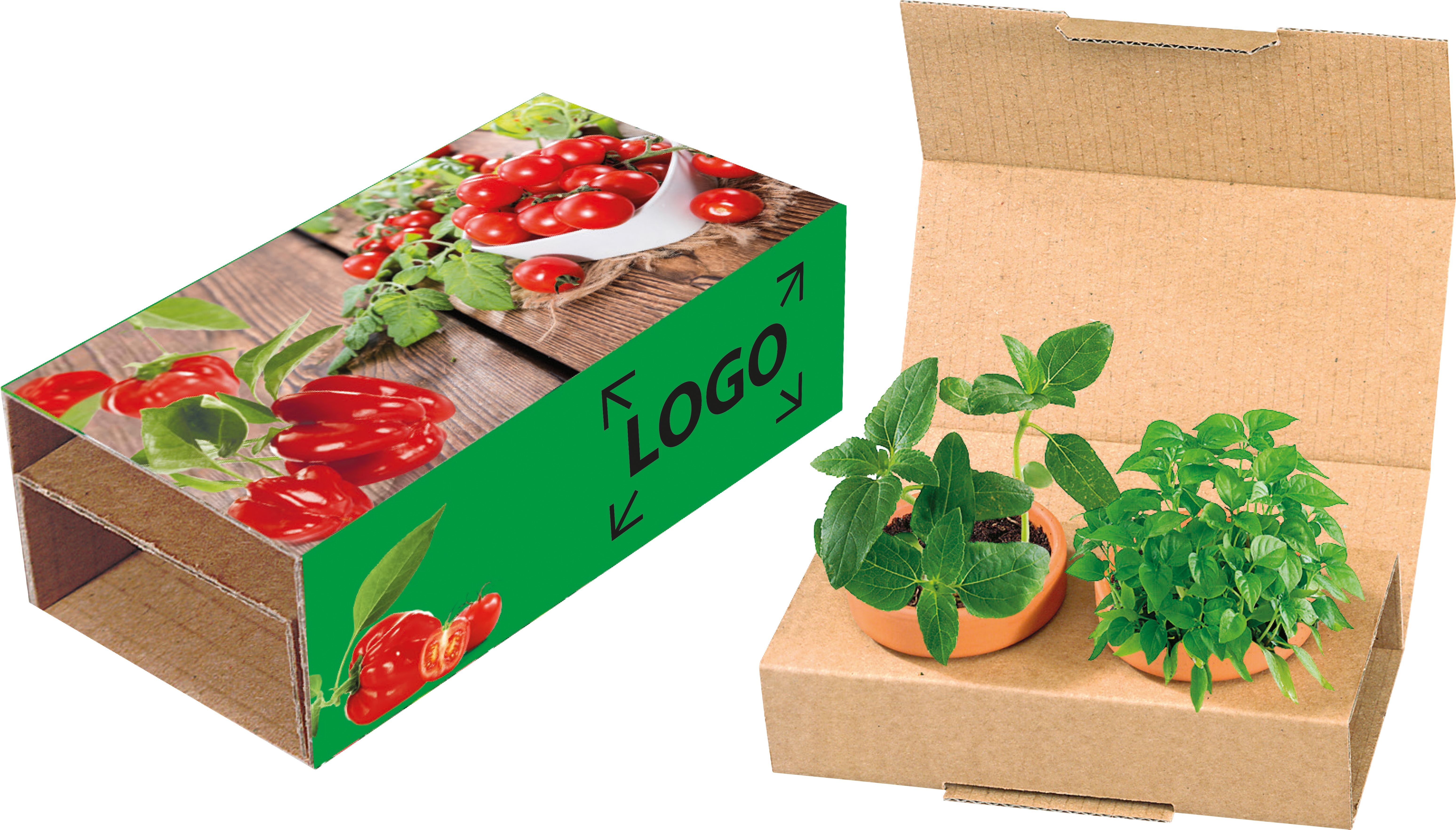 auf die Banderole (23,2 x 12,8 cm)