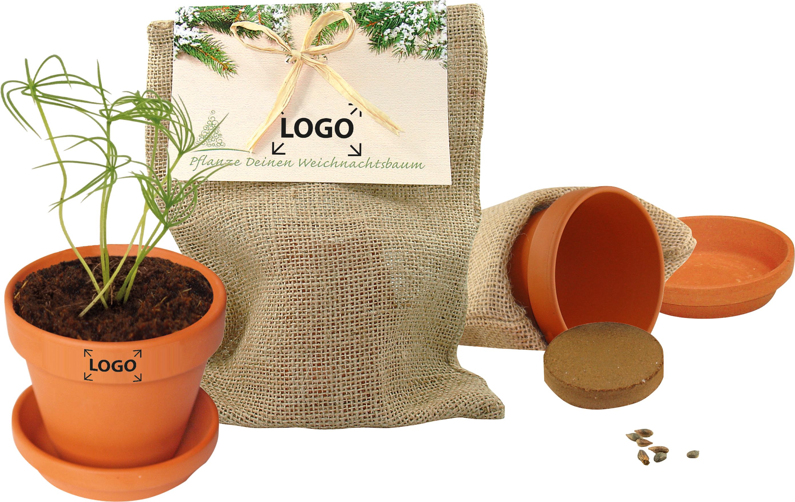 auf den Header (14,8 x 21,0 cm)