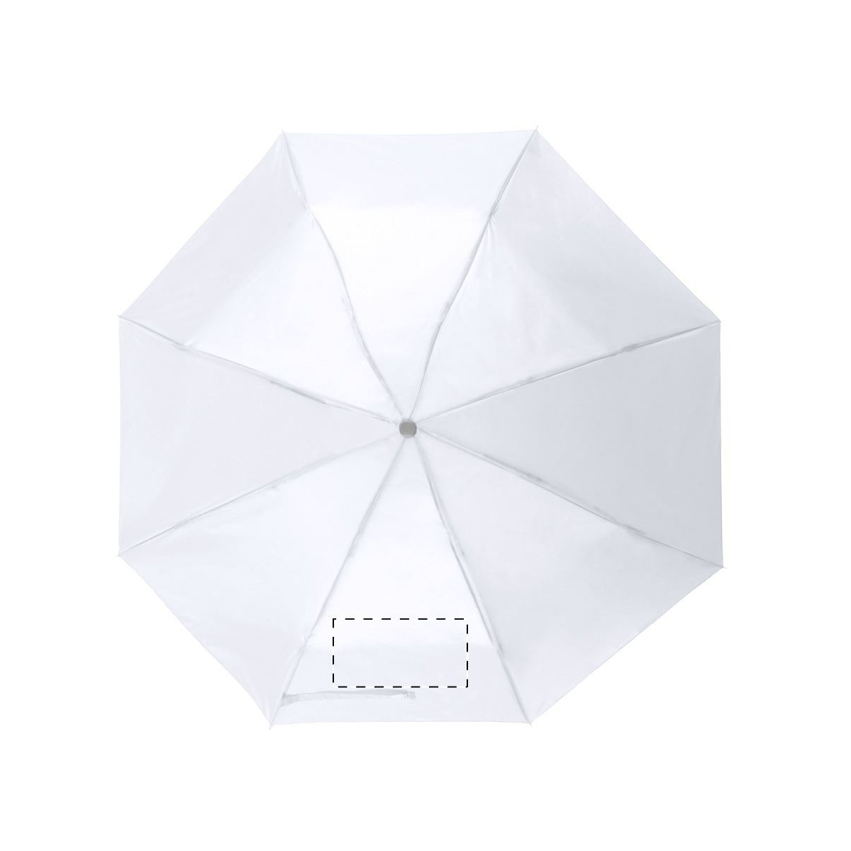 Segment 1 - mit Verschlussband (Segmentnumerierung im Uhrzeigersinn) (20 x 10 cm)