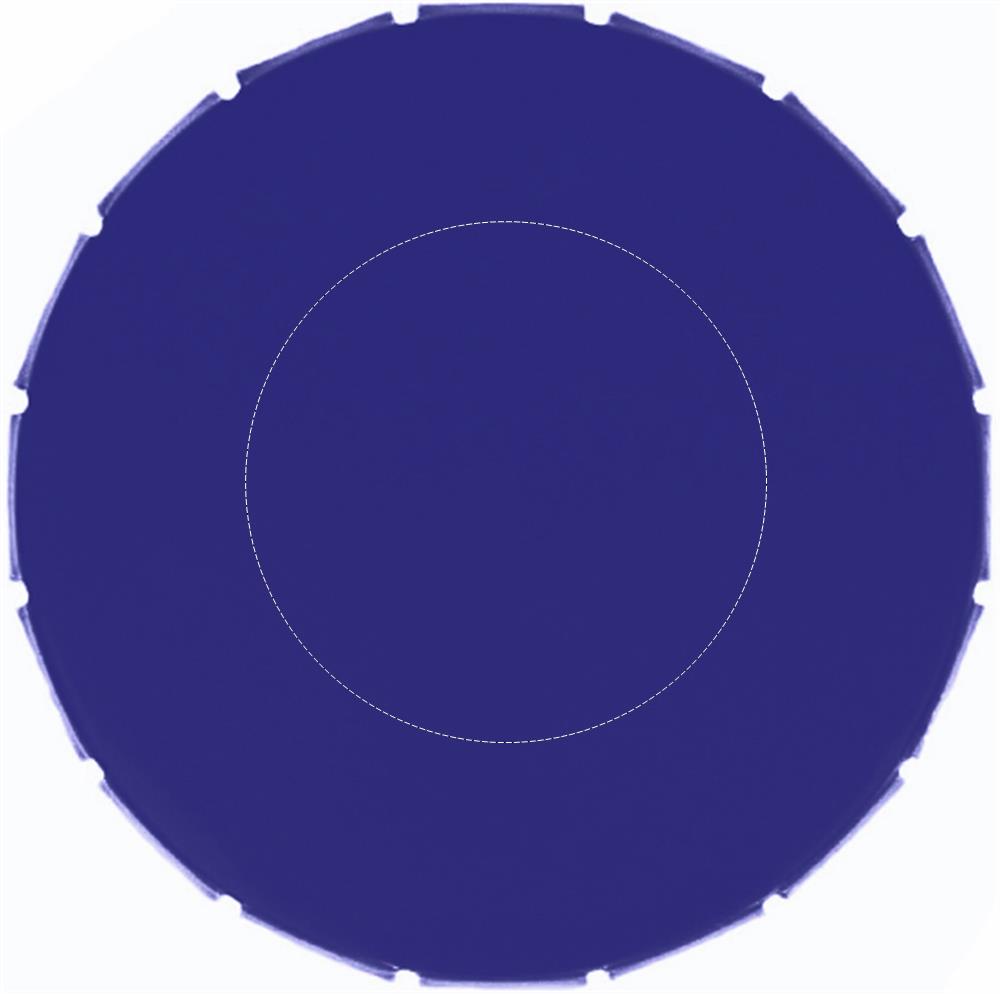 Vorderseite (2,5 x 2,5 cm)