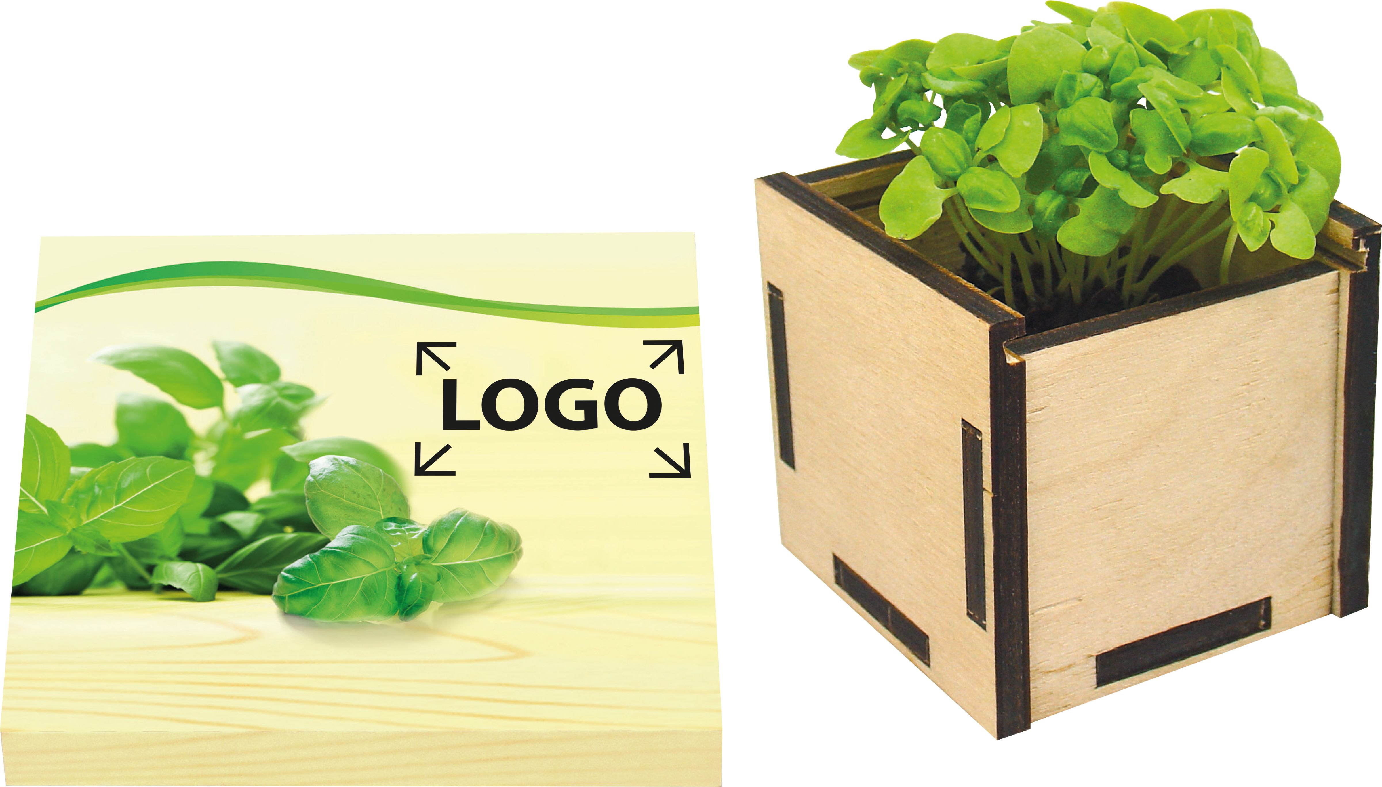 auf den Schuber (29,0 x 12,0 cm)