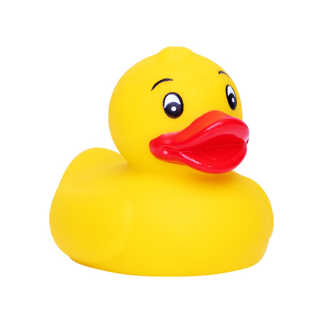 Ente Vorderseite (1 x 0,5 cm)