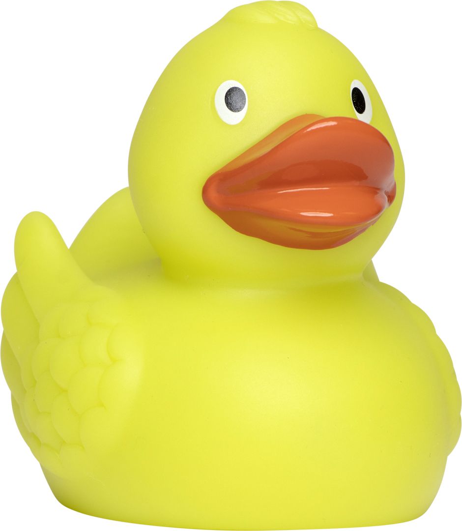 Ente Vorderseite (2 x 1 cm)