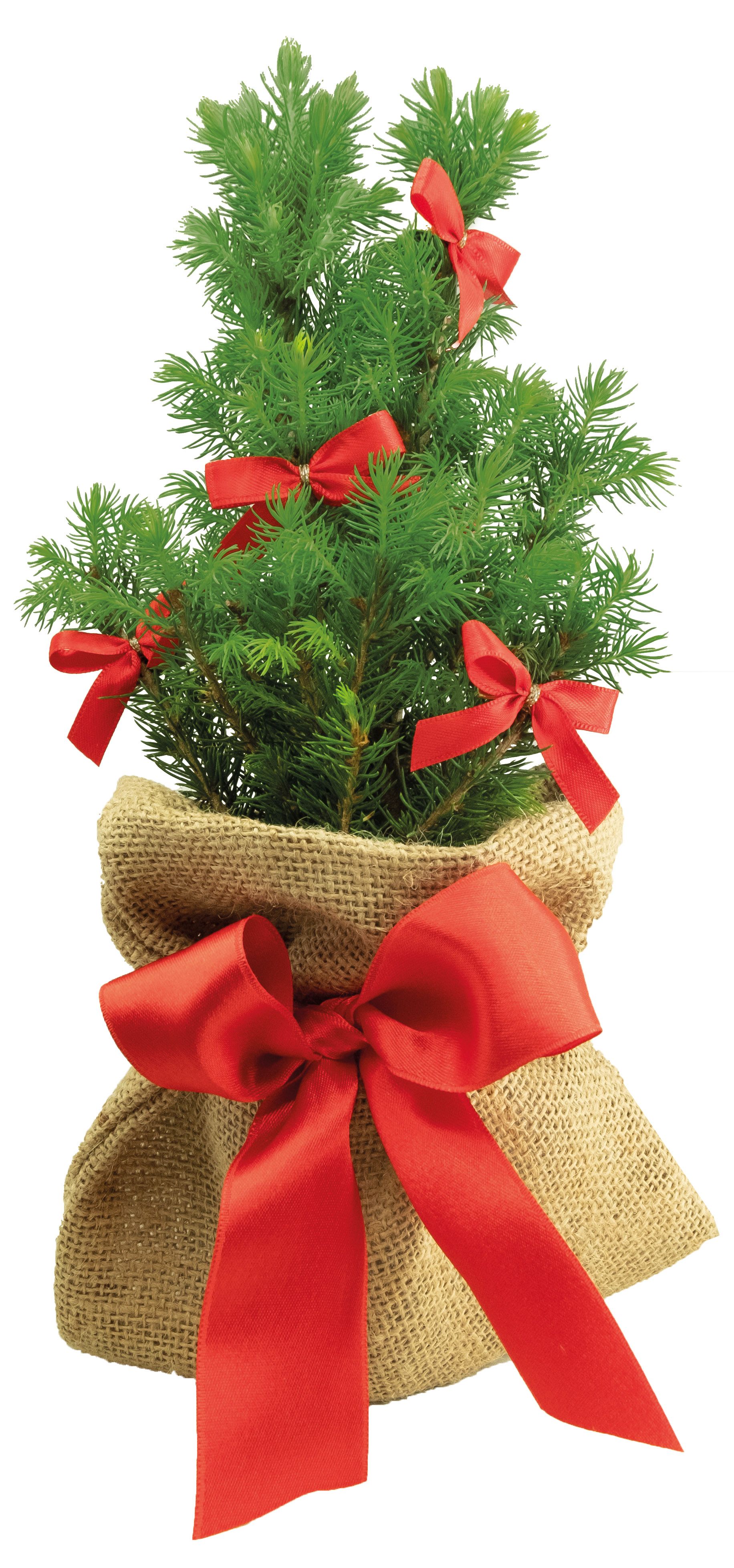 auf die Karte (6,0 x 4,0 cm)