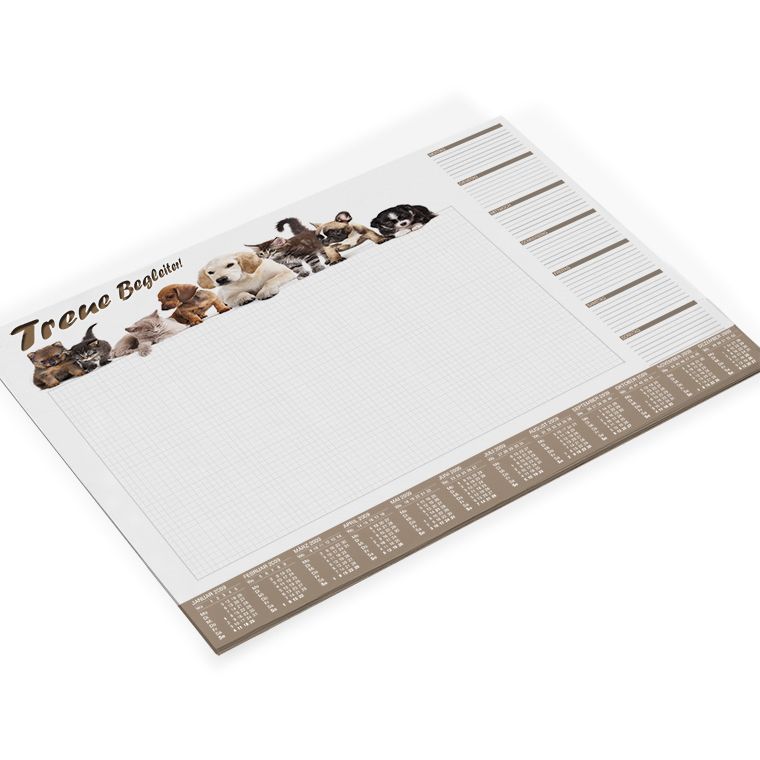 Einzelblatt (57 x 5,5cm)