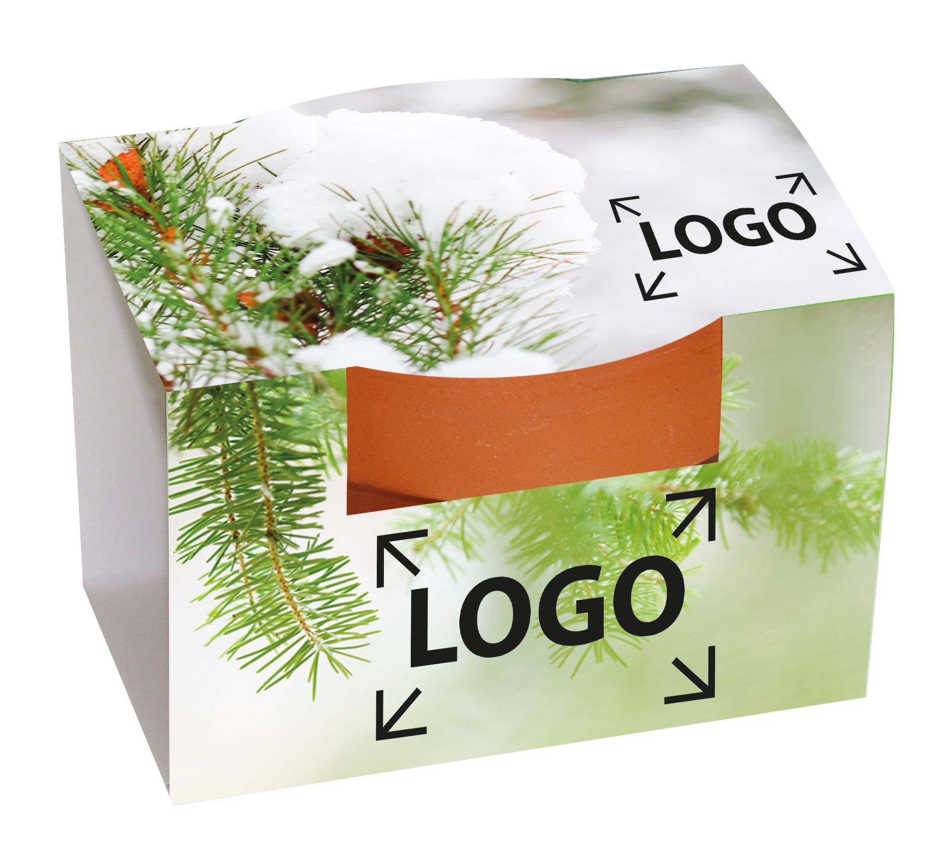 auf die Banderole (18,3 x 6,0 cm)