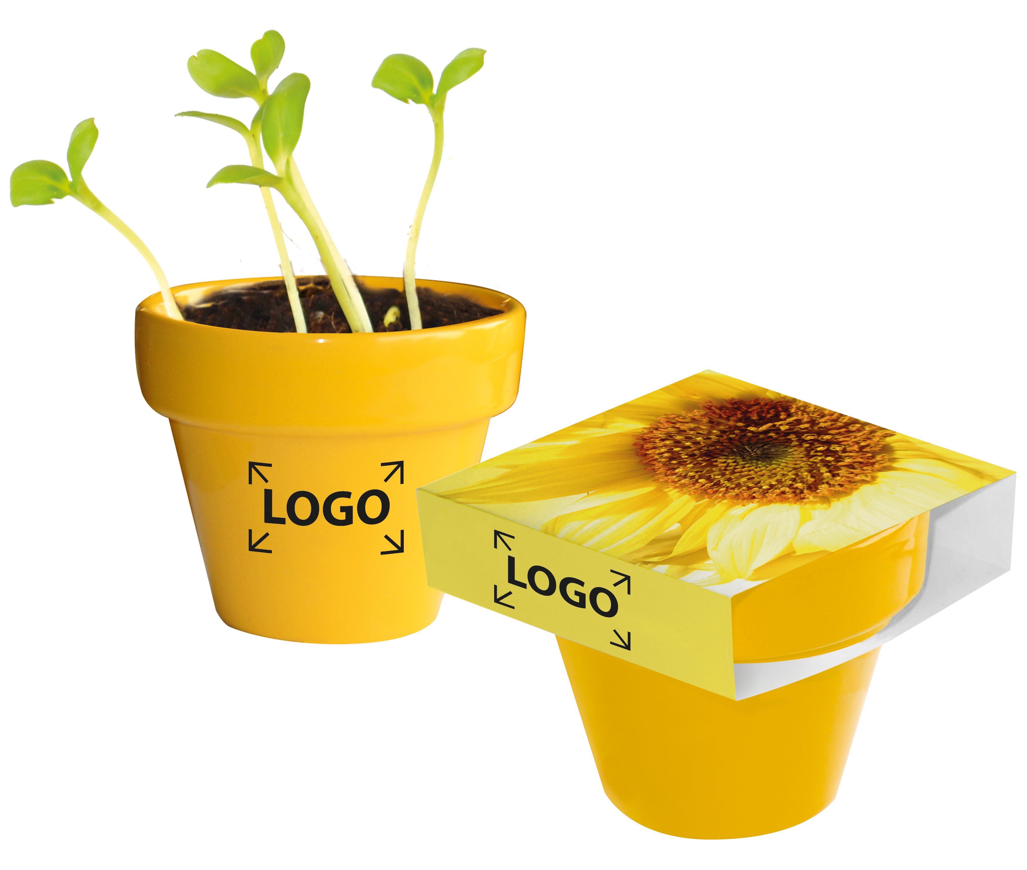 auf die Banderole (18,0 x 7,2  cm)