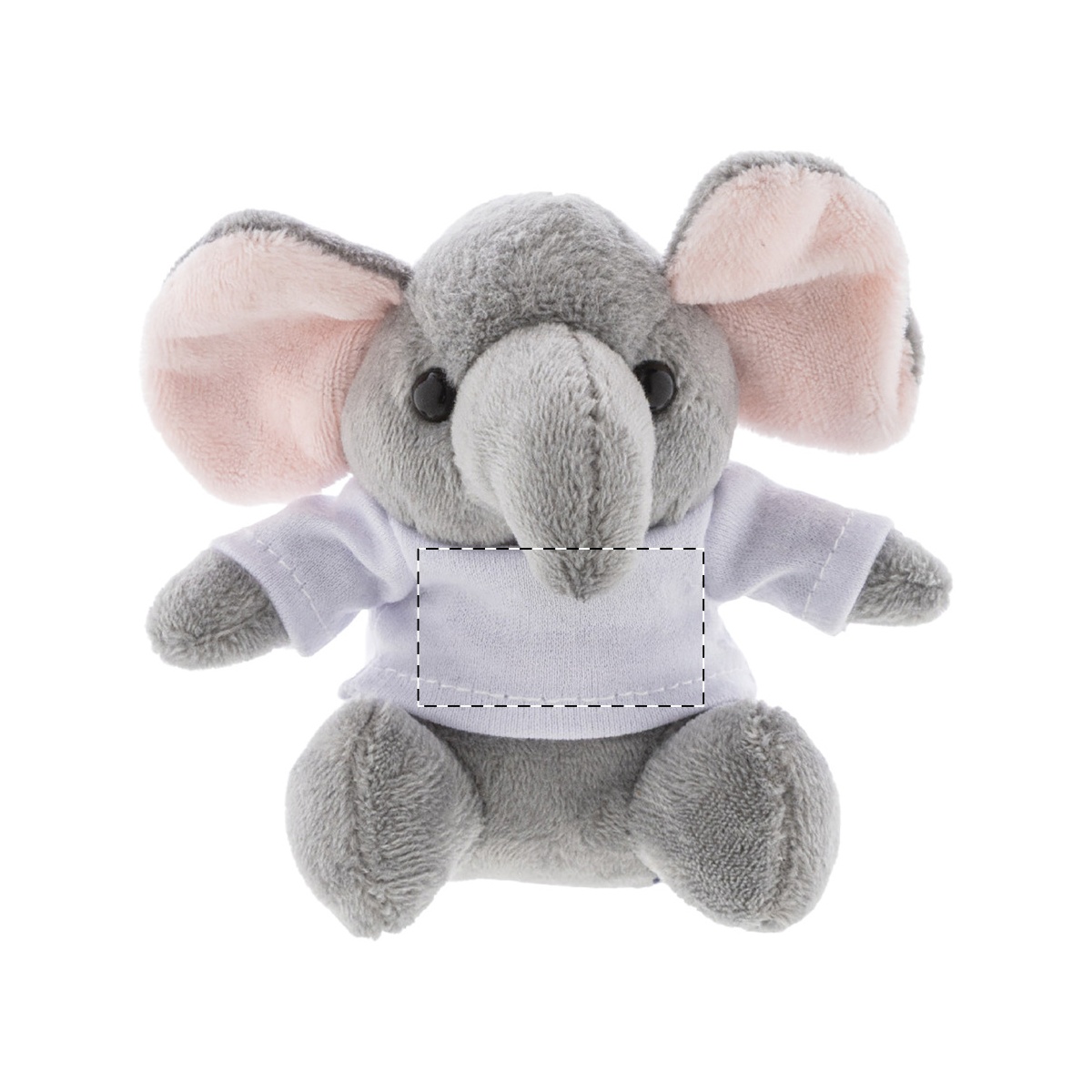 Vorderseite (30 x 15 mm)