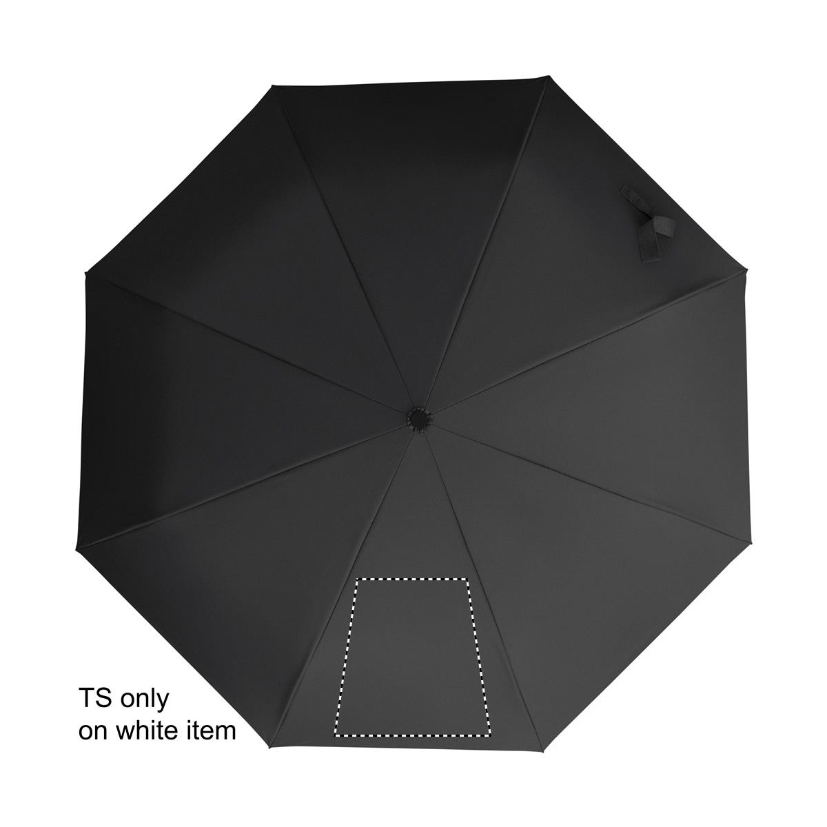 Segment 1 (210 x 210 mm)