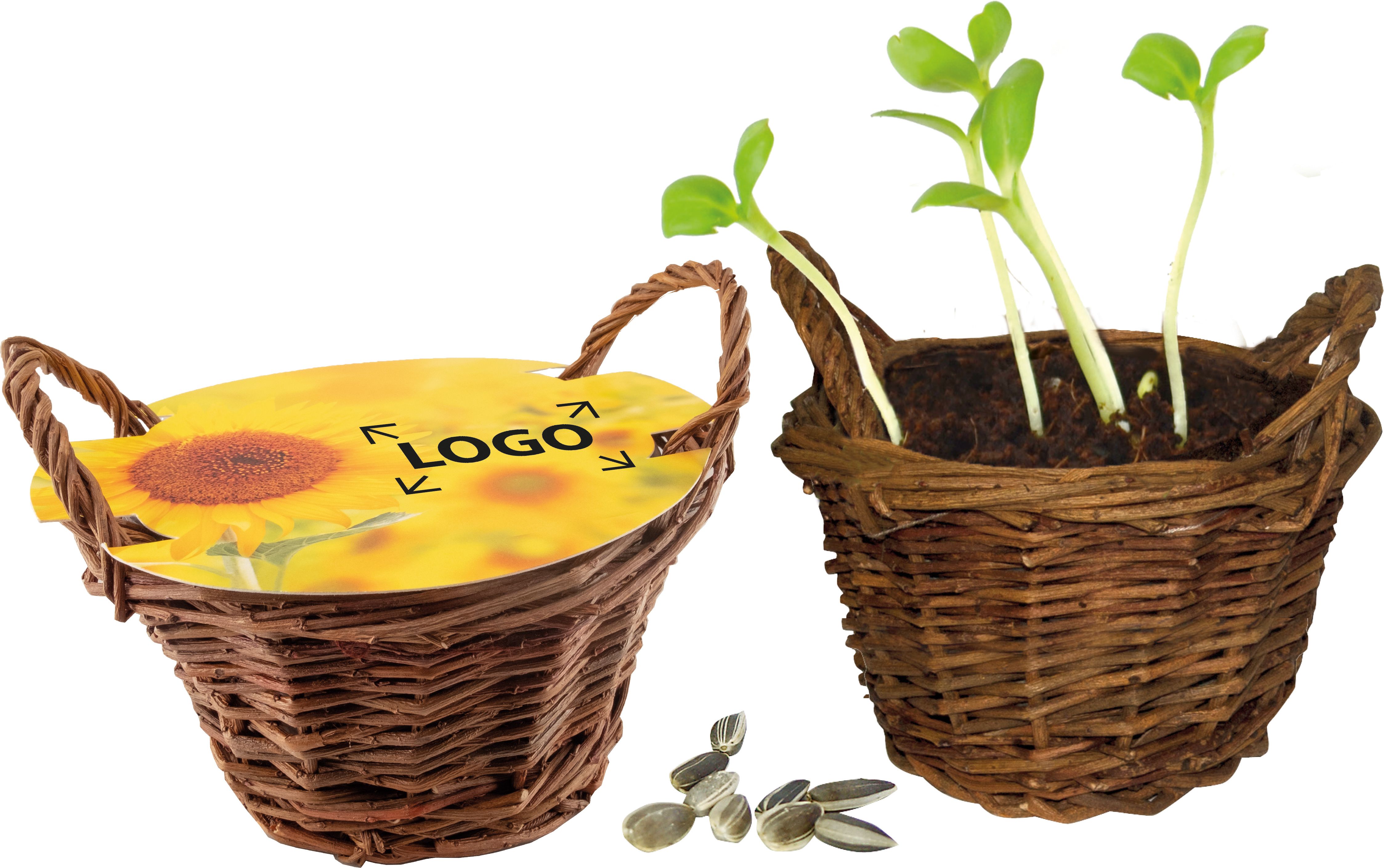 auf die Abdeckung (Ø 15,0 cm)