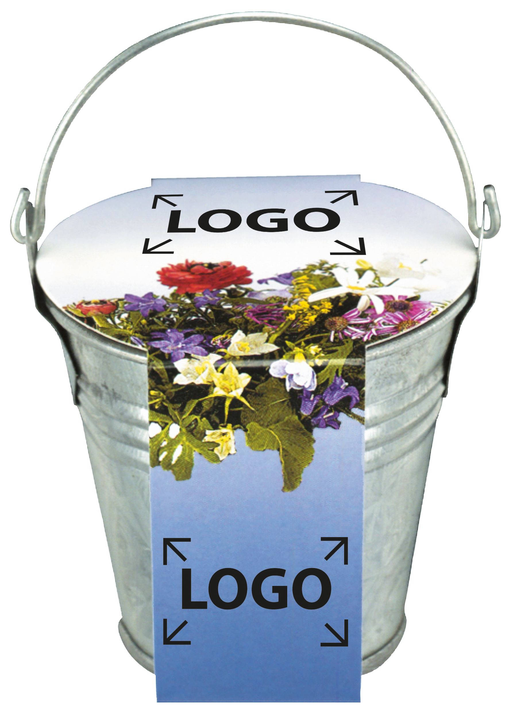 auf die Banderole (24,0 x 6,0 cm)