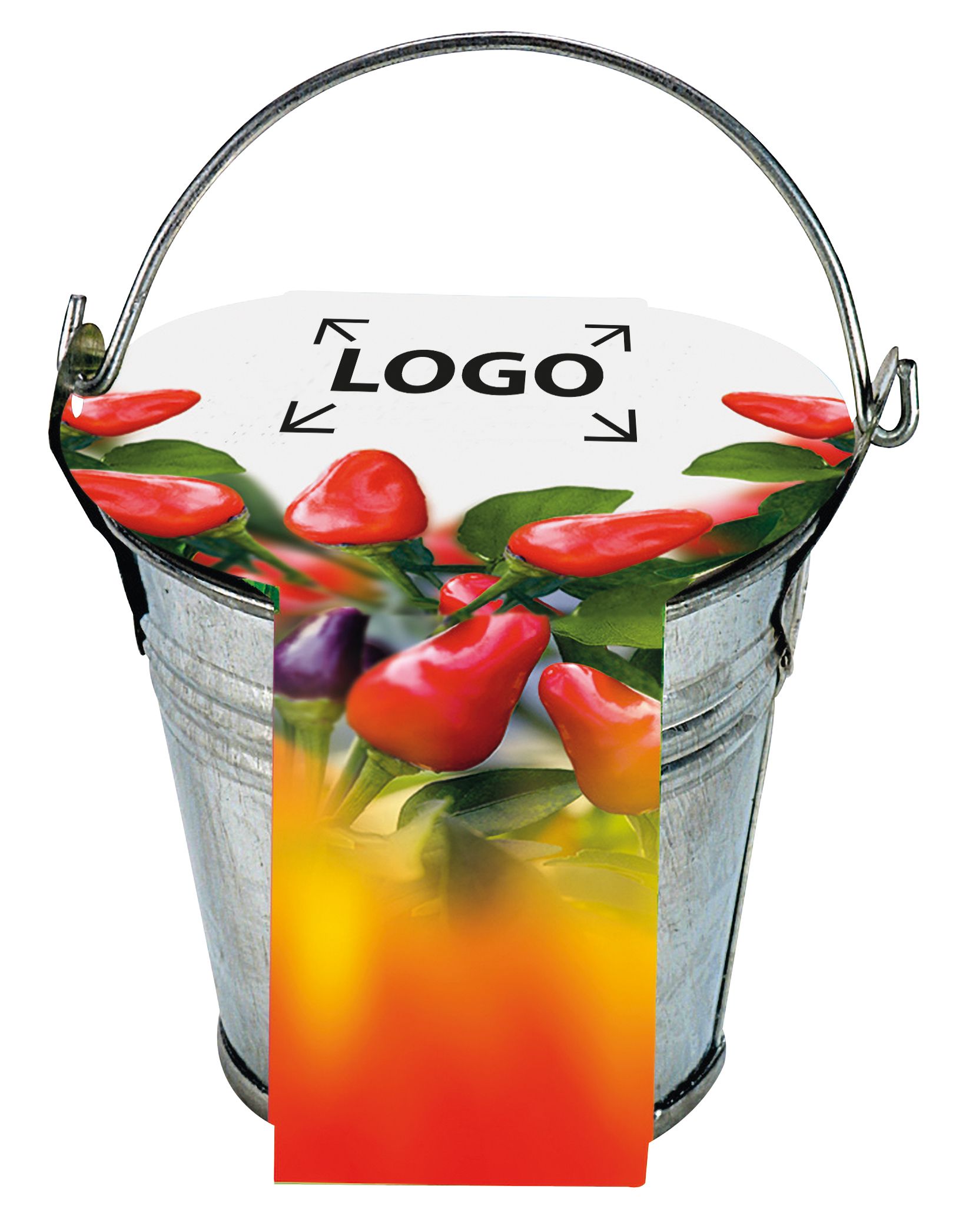 auf die Banderole (24,0 x 6,0 cm)